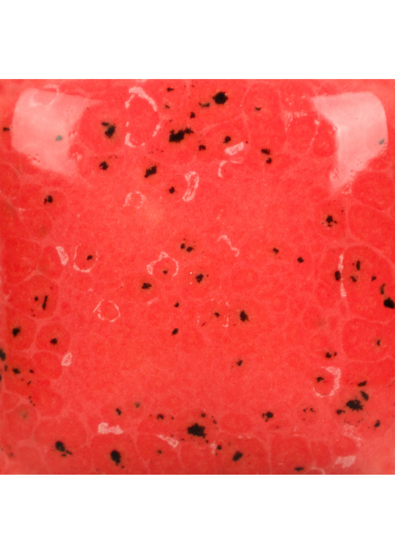 Mayco Coloramics Speckled Cutie Pie Coral SP-289 PINT