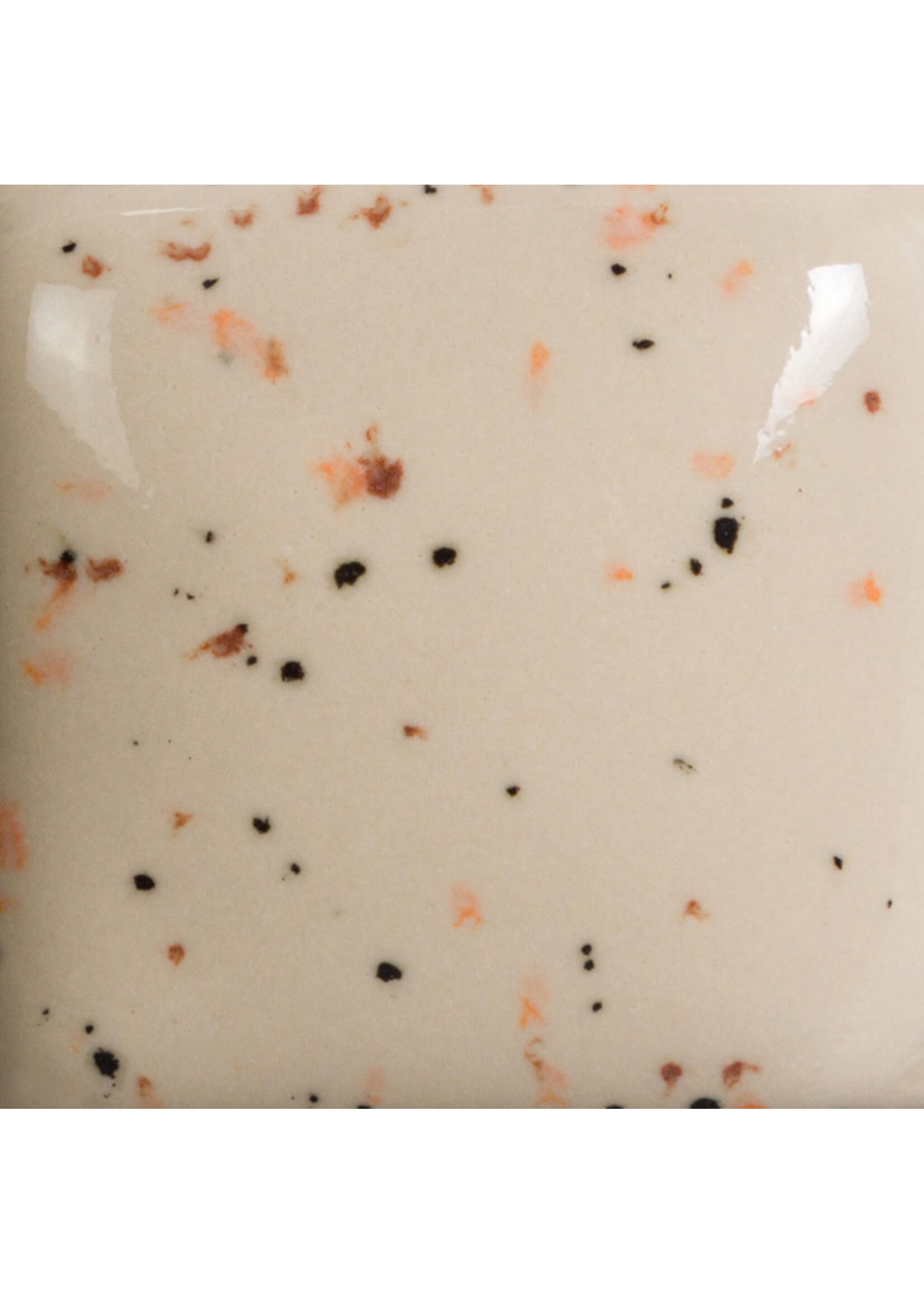 Mayco Coloramics Speckled Vanilla Dip SP-254 PINT