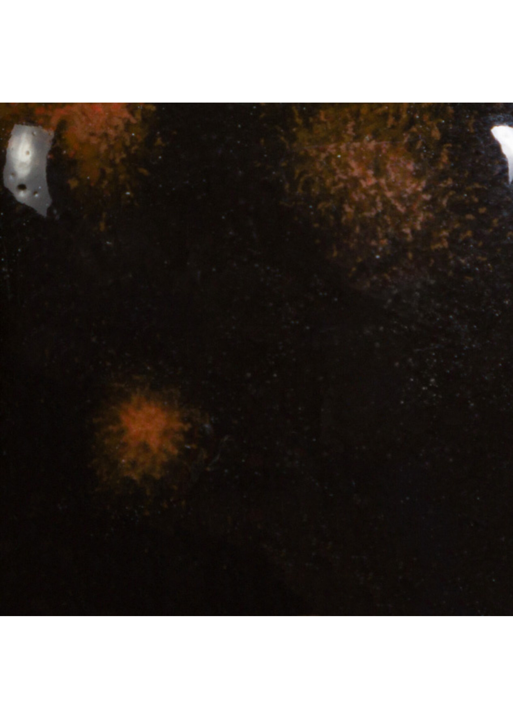 Mayco Coloramics Black Opal CG-779  PINT
