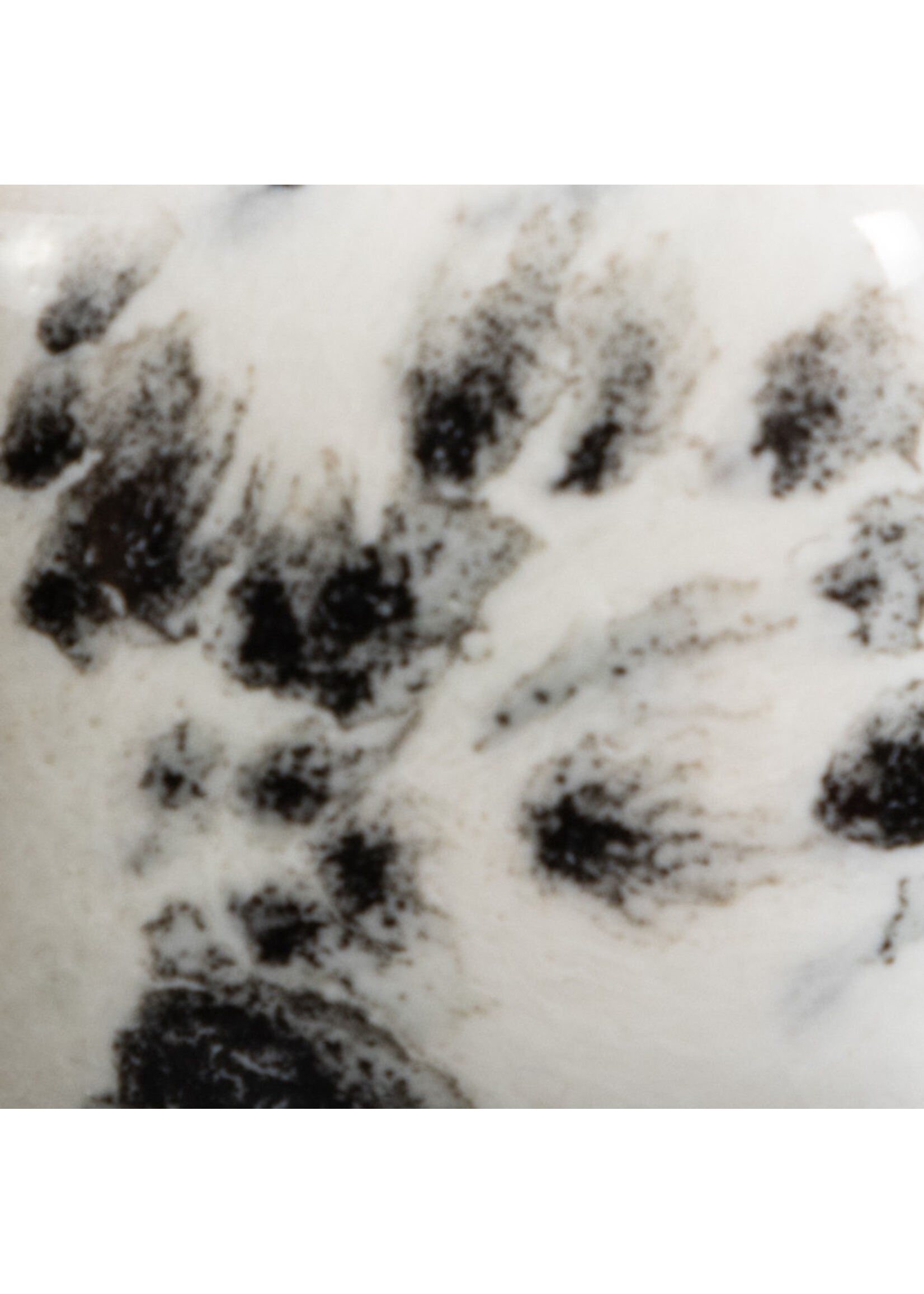 Mayco Coloramics Ink Spots CG-977 PINT