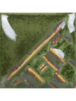 Mayco Coloramics Beetlewing SW-228 PINT