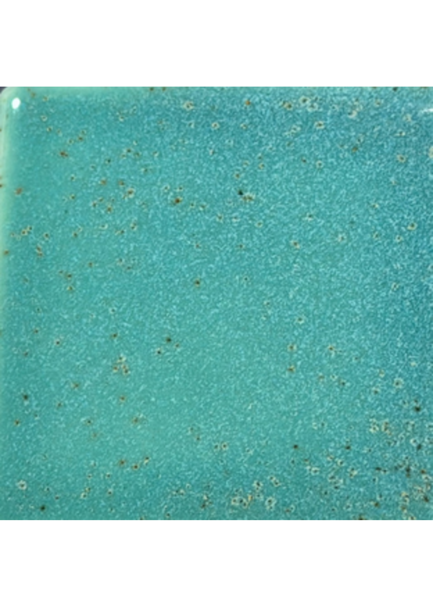 Coyote Glaze Mermaid Cove MBG225 Pint