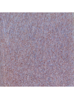 Coyote Glaze Pixie Wings MBG224 Pint