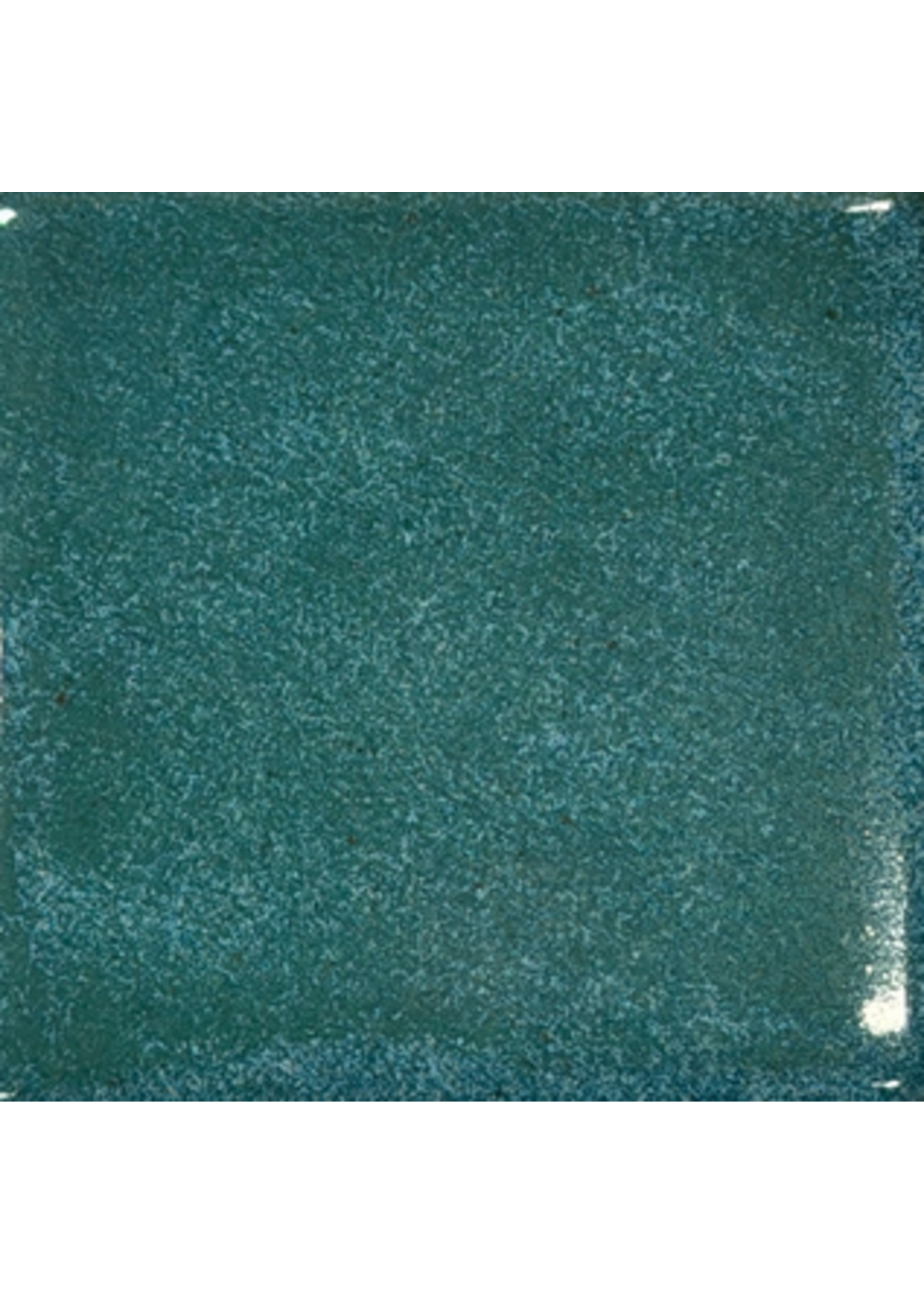 Coyote Glaze Veridian Forest MBG228 Pint