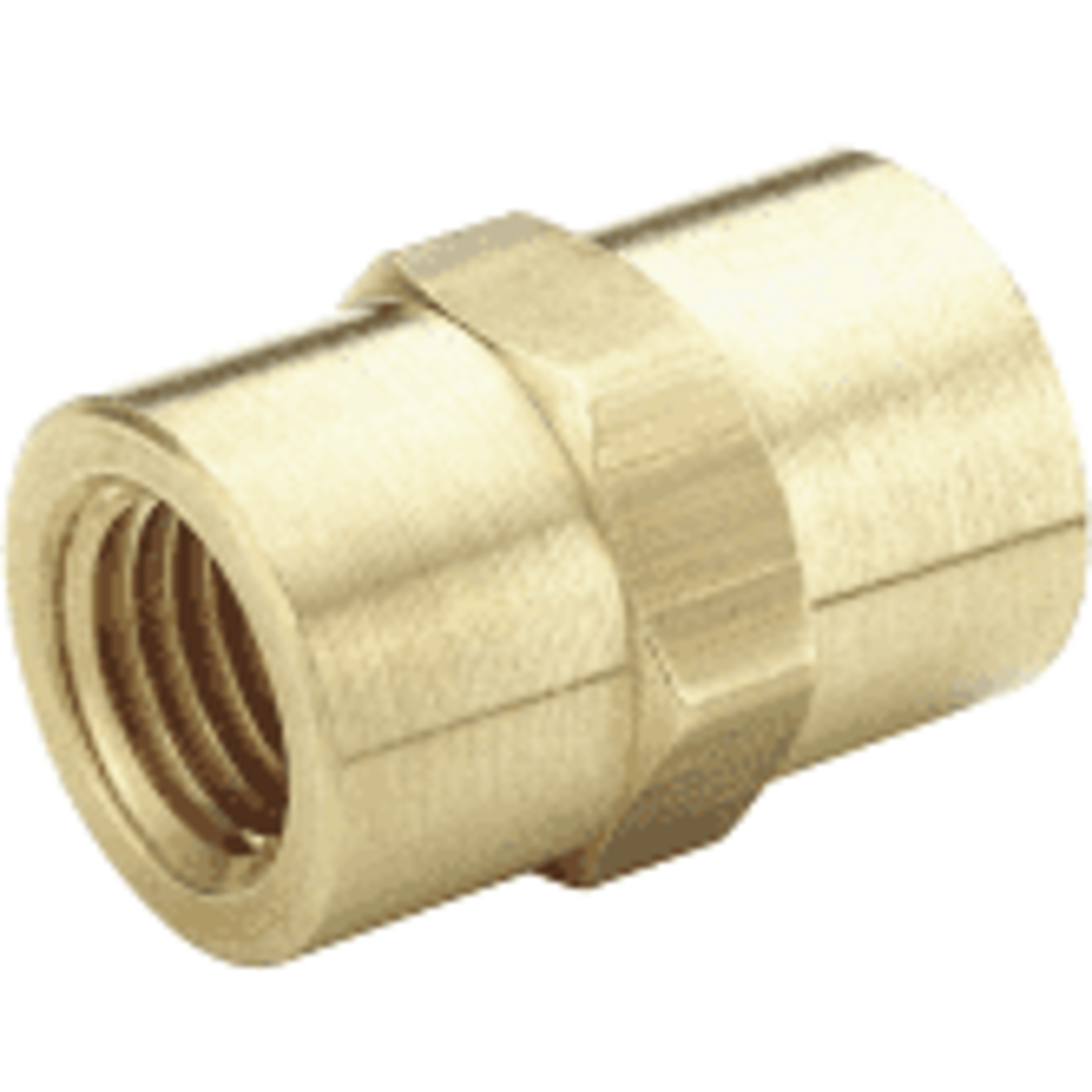 Damtech Brass FxF Hex Coupler NPT Adapter 1/4"