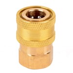 Damtech Brass Female Quick Connect 1/4"