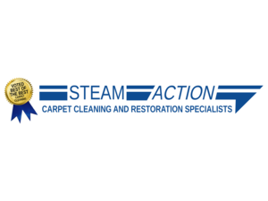 SteamAction