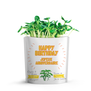 Microgreens Greeting Card - Birthday (Sunflower)