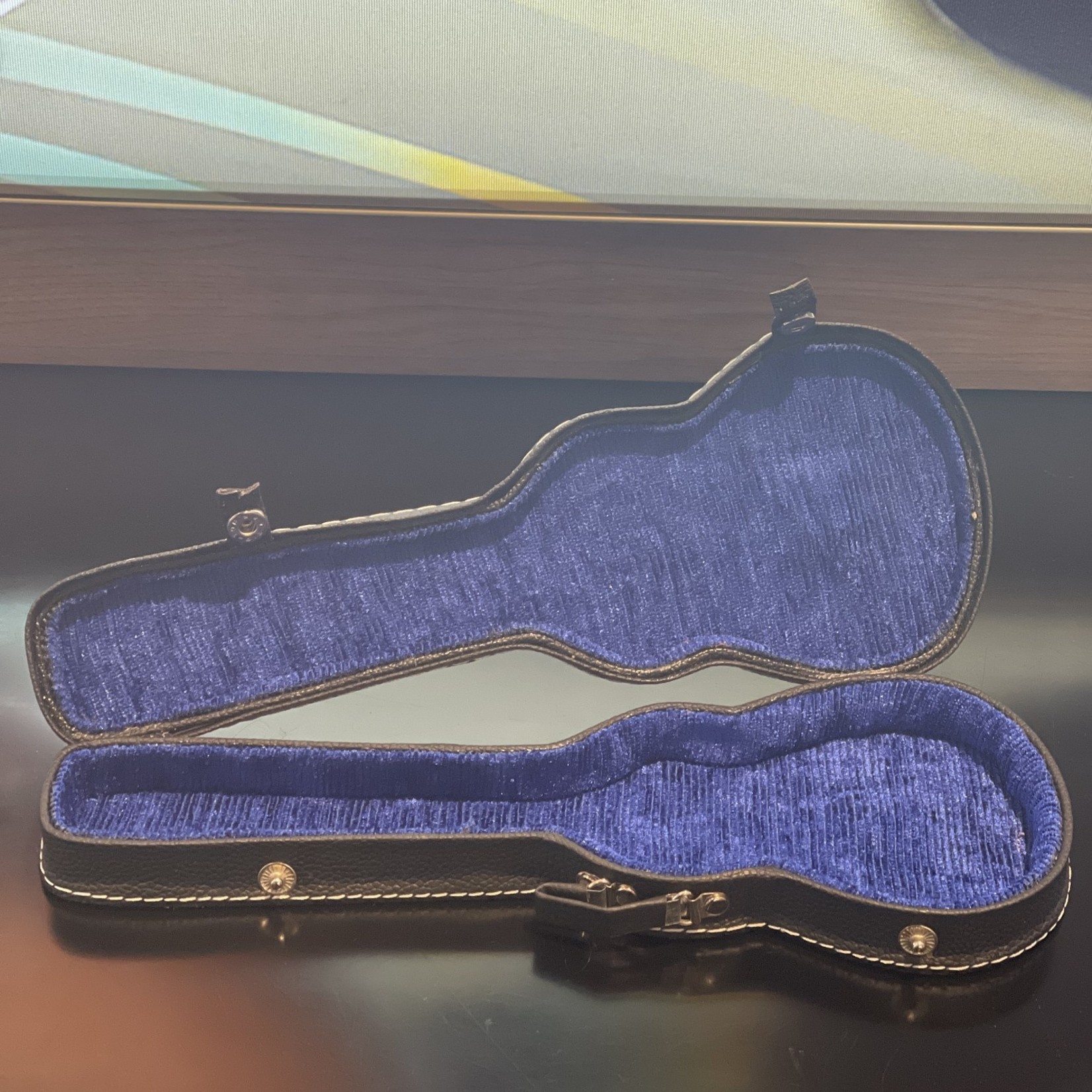 AMAZON Guitar Case