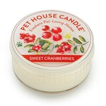 PET HOUSE CANDLE Pet House Mini Candles
