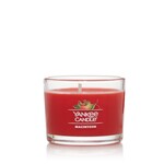 Yankee Candles Yankee Candles Macintosh 1.3 oz |