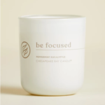 Chesapeake Bay Candle Chesapeake By Candle Be Focused -