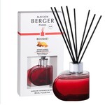 Maison Berger Paris Reed Diffuser Alliance with Orange Cinnamon Red