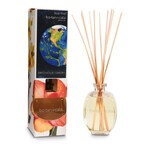 Scent Shop Botanical Scent Shop Reed Diffuser Patchouli Earth