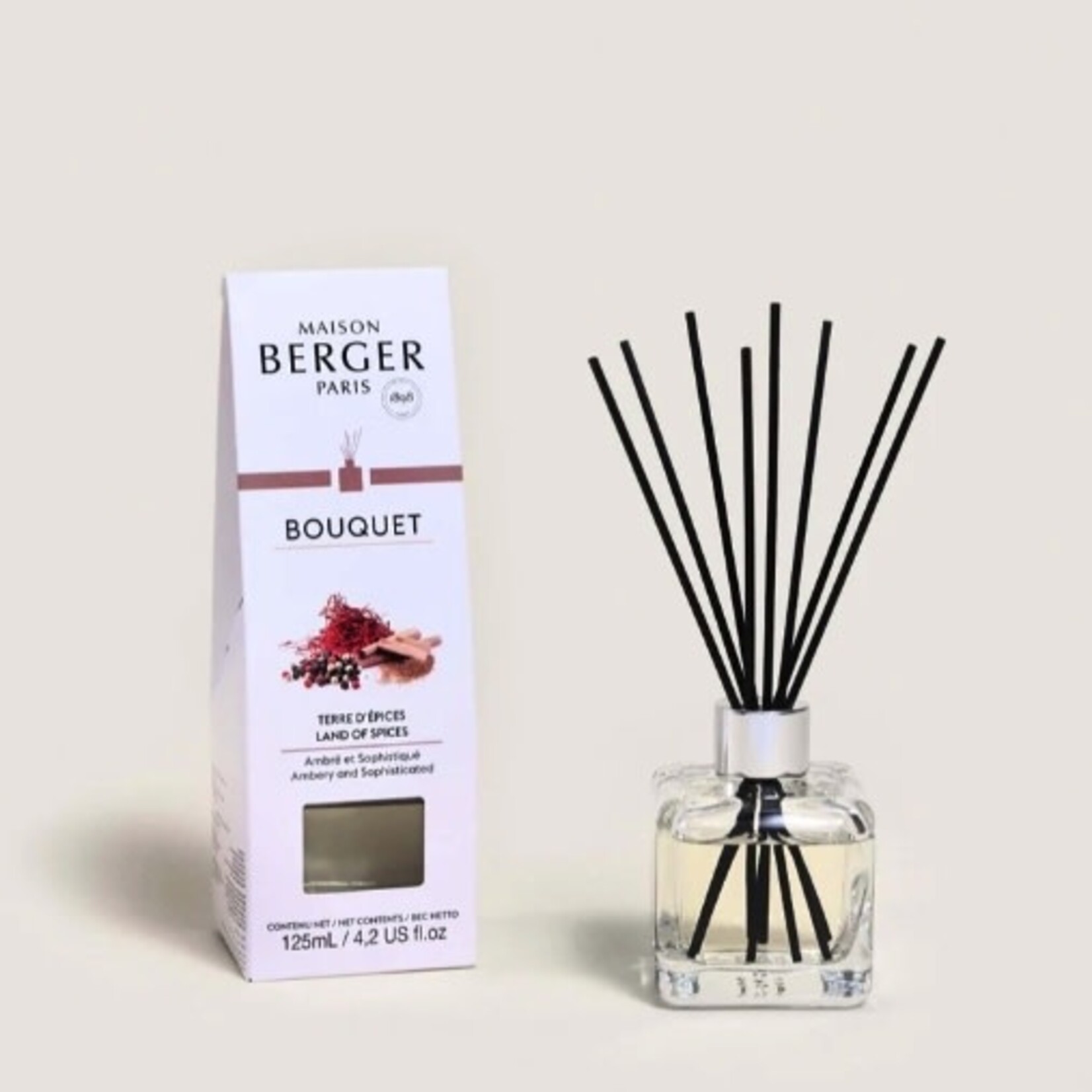 Maison Berger Paris Terre d'Épices (Land of Spices) Pre-filled Cube Reed Diffuser