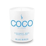 COCO COCO By Stone Coconut Wax Blue Birch 11oz