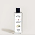 Maison Berger Paris Black Angelica Fragrance Lamp Refill