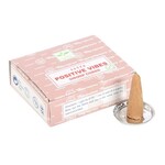 Faire Satya Box of 12 Dhoop Cones