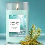 Yankee Candles Catching Rays