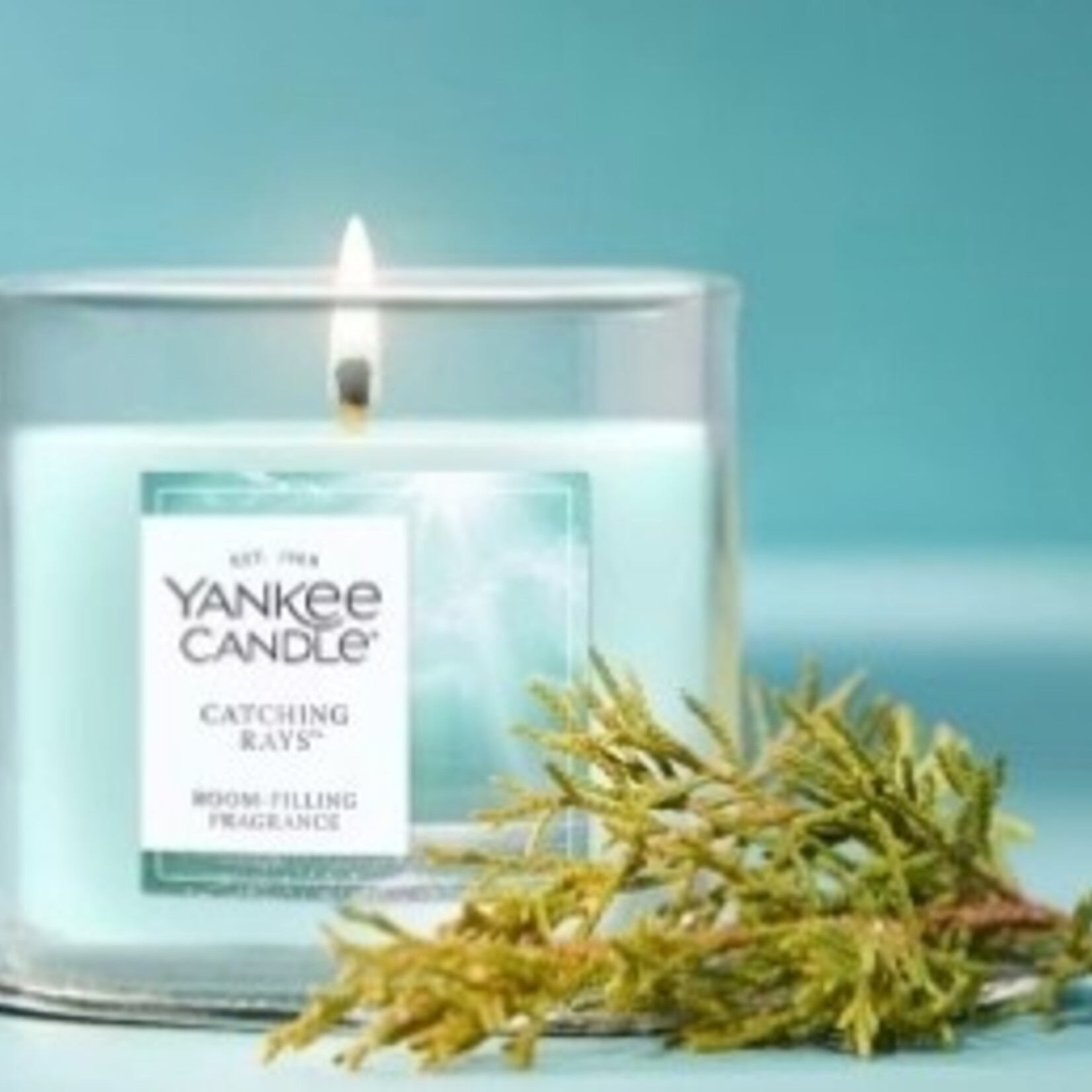 Yankee Candles Catching Rays