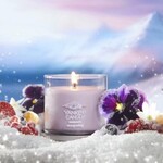 Yankee Candles Summit Stargazing