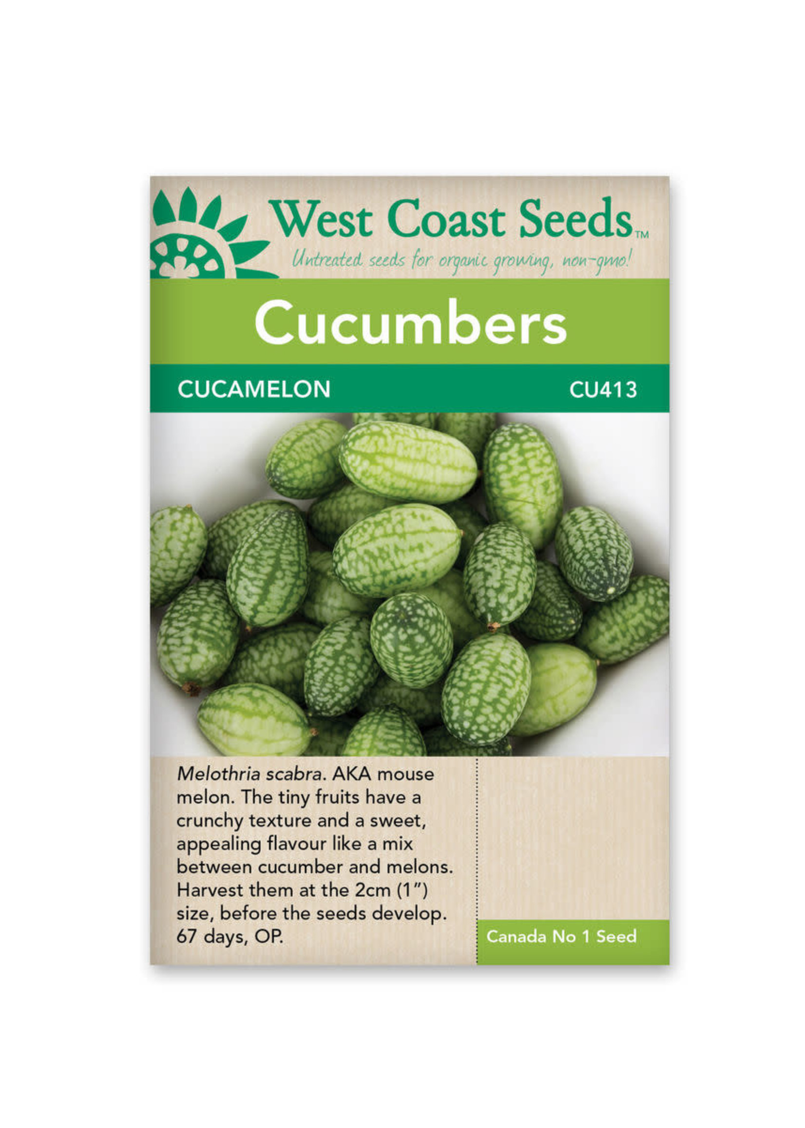 West Coast Seeds Cucamelon