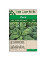 West Coast Seeds Vates Blue Curled Scotch Kale