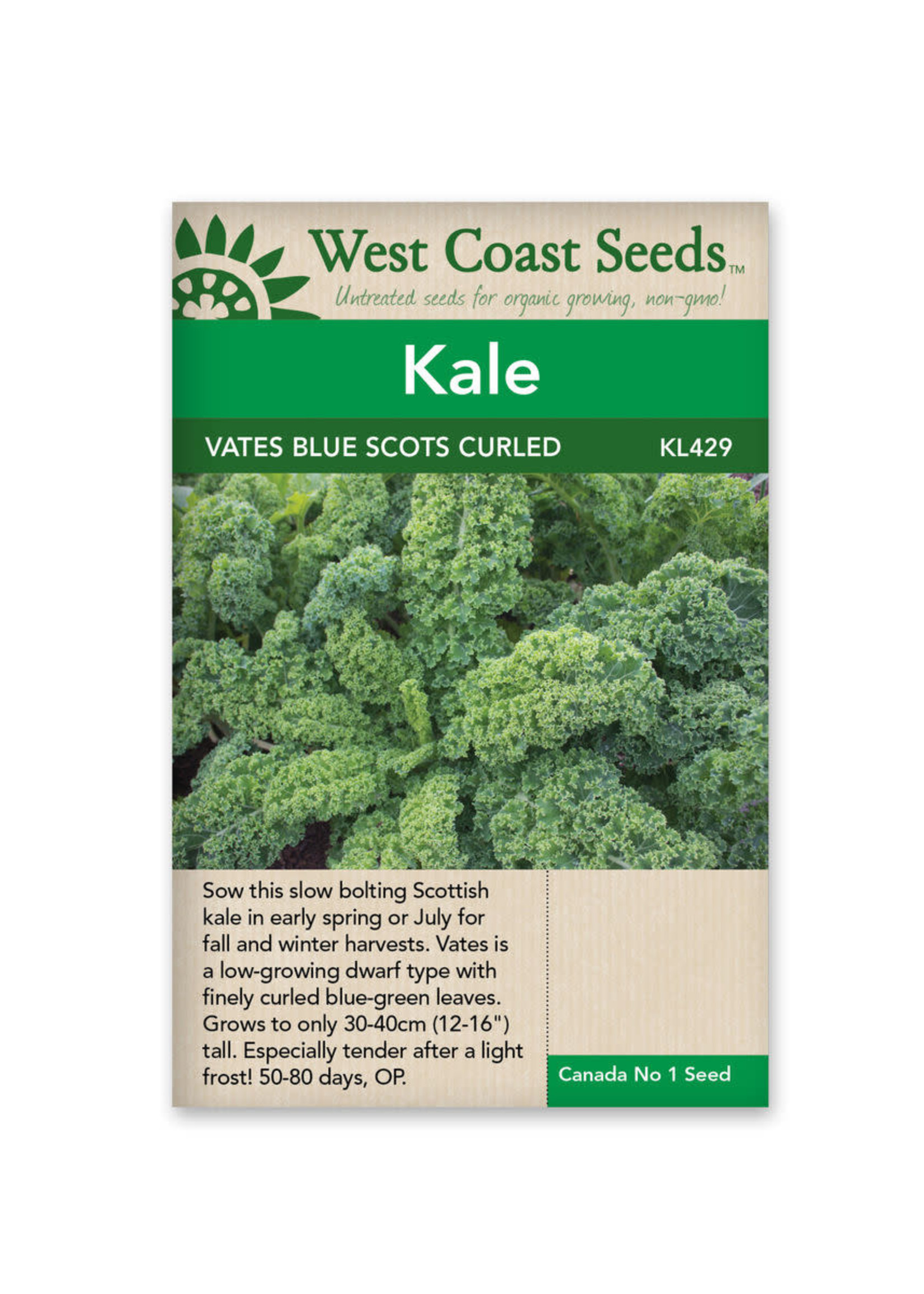 West Coast Seeds Vates Blue Curled Scotch Kale