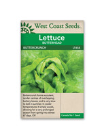 West Coast Seeds Buttercrunch Lettuce