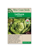 West Coast Seeds Spretnak Lettuce Certified Organic