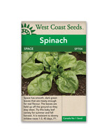 West Coast Seeds Space Spinach