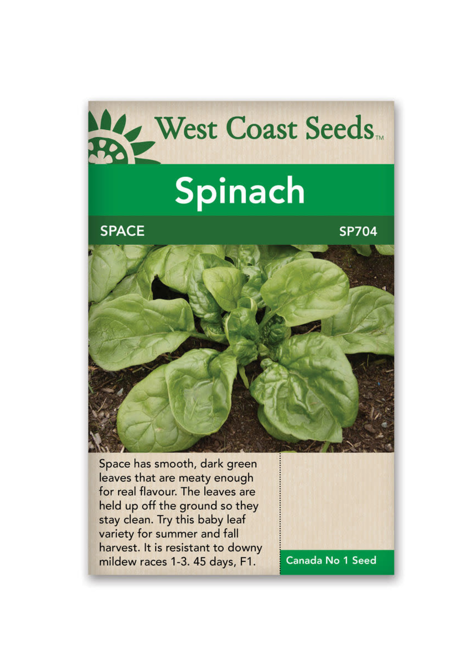 West Coast Seeds Space Spinach