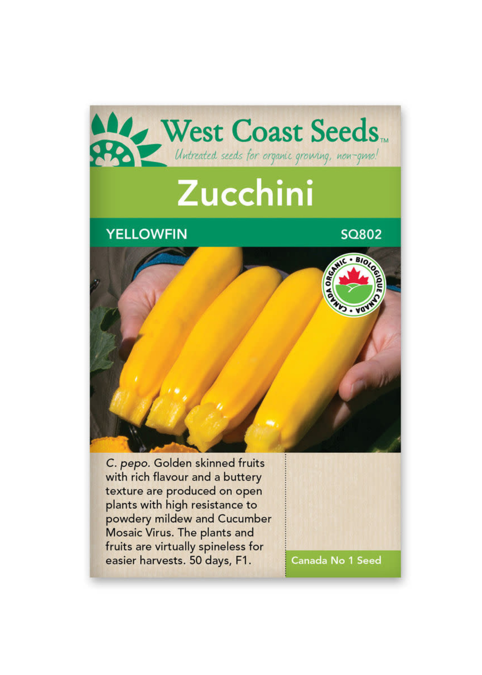 West Coast Seeds Yellowfin Zucchini Certified Organic