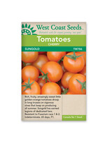 West Coast Seeds Sungold Tomato