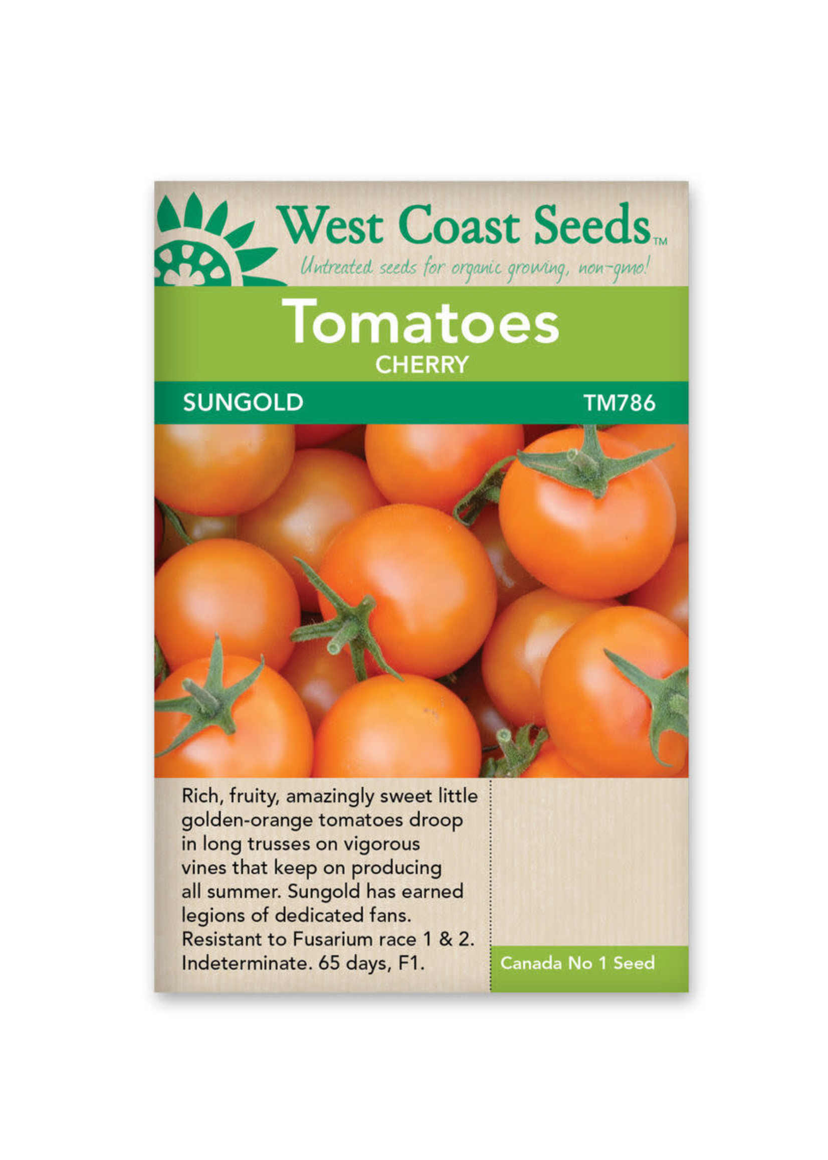West Coast Seeds Sungold Tomato