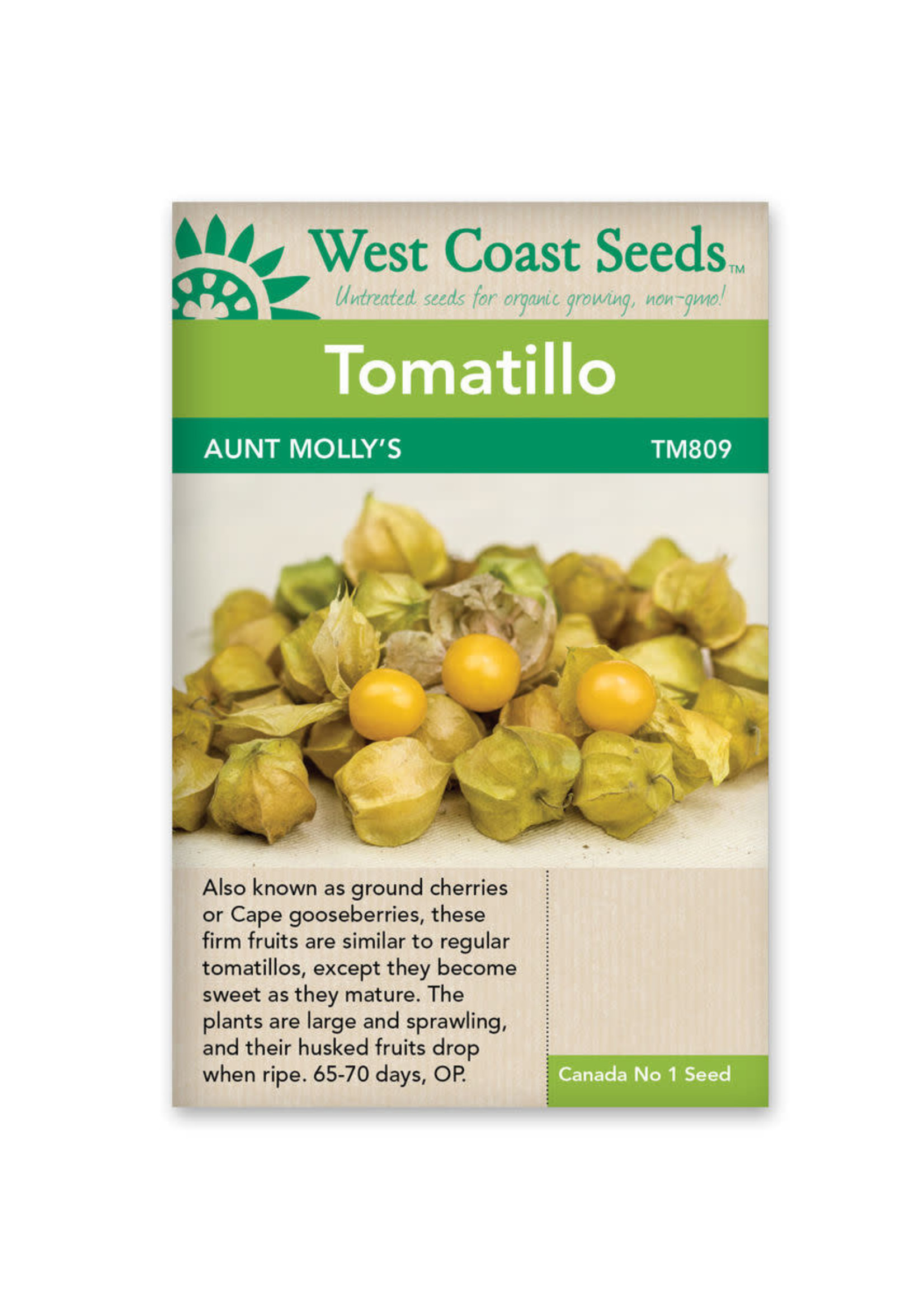 West Coast Seeds Aunt Molly's Ground Cherry