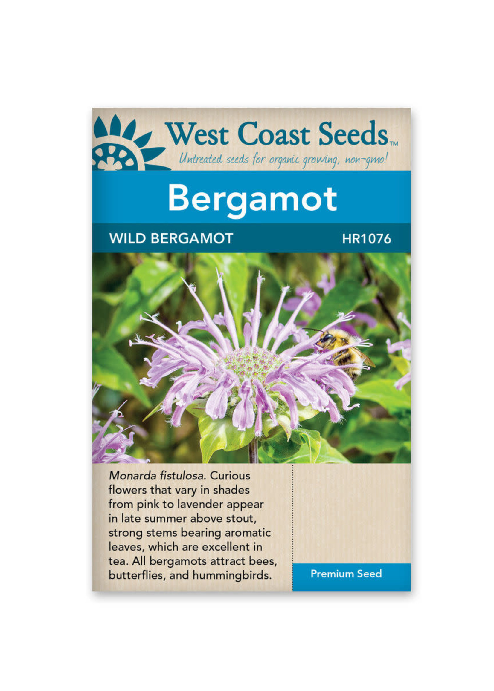 West Coast Seeds Wild Bergamot