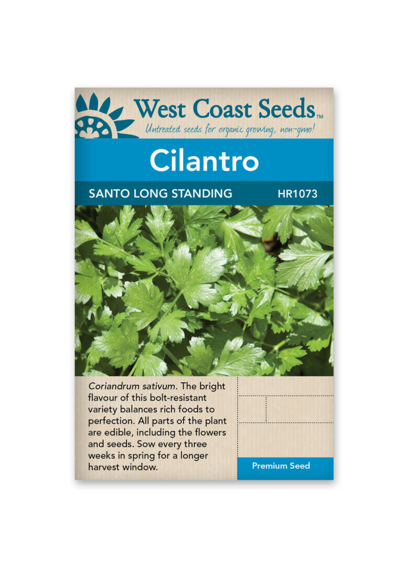 West Coast Seeds Santo Long Standing Cilantro