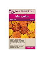 West Coast Seeds Brocade Marigold