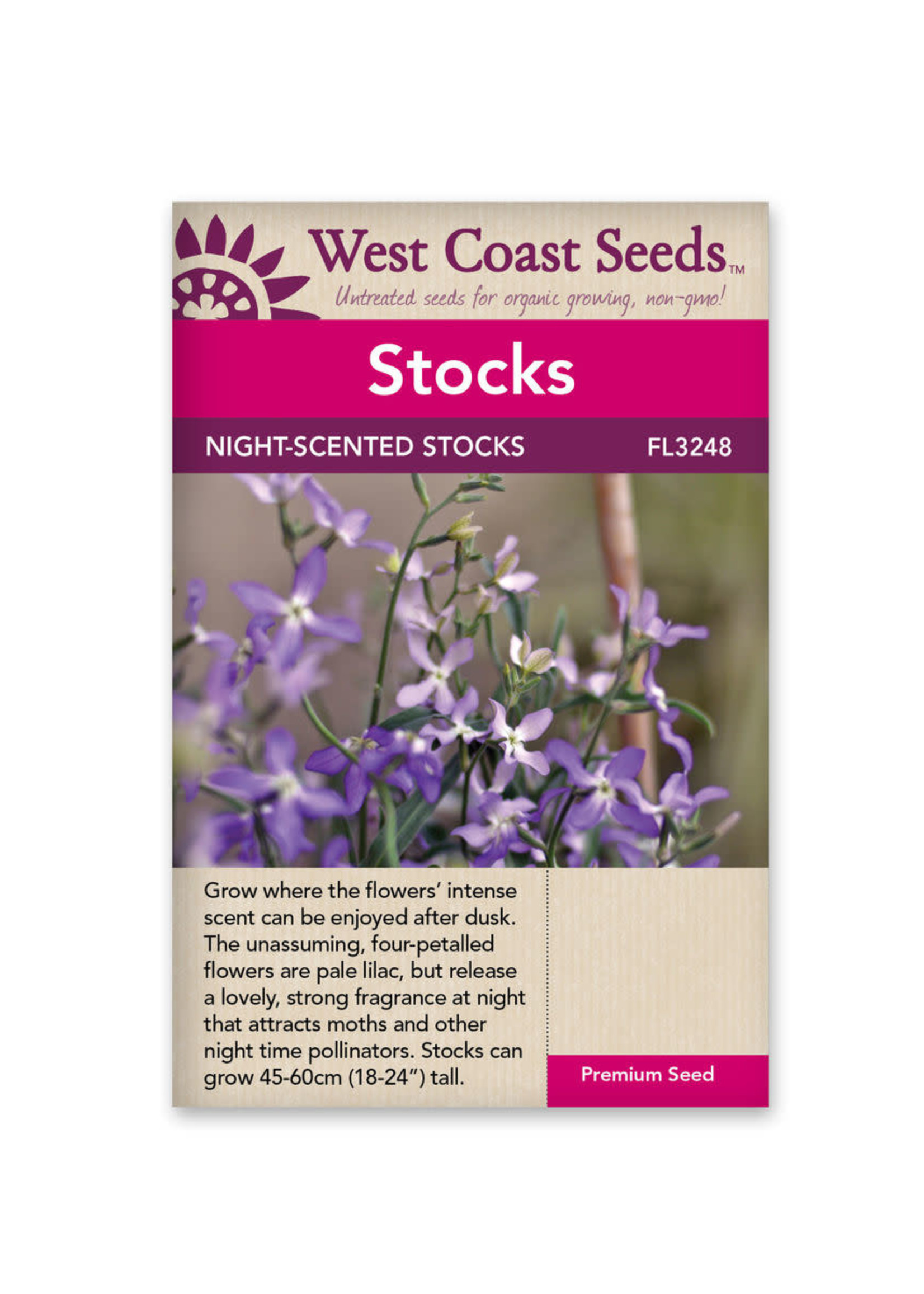 West Coast Seeds Evening Scented Stocks