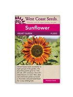 West Coast Seeds Velvet Queen Sunflower