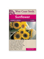West Coast Seeds Sunrich Lemon Sunflower