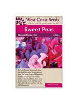 West Coast Seeds Mammoth Blend Sweet Pea