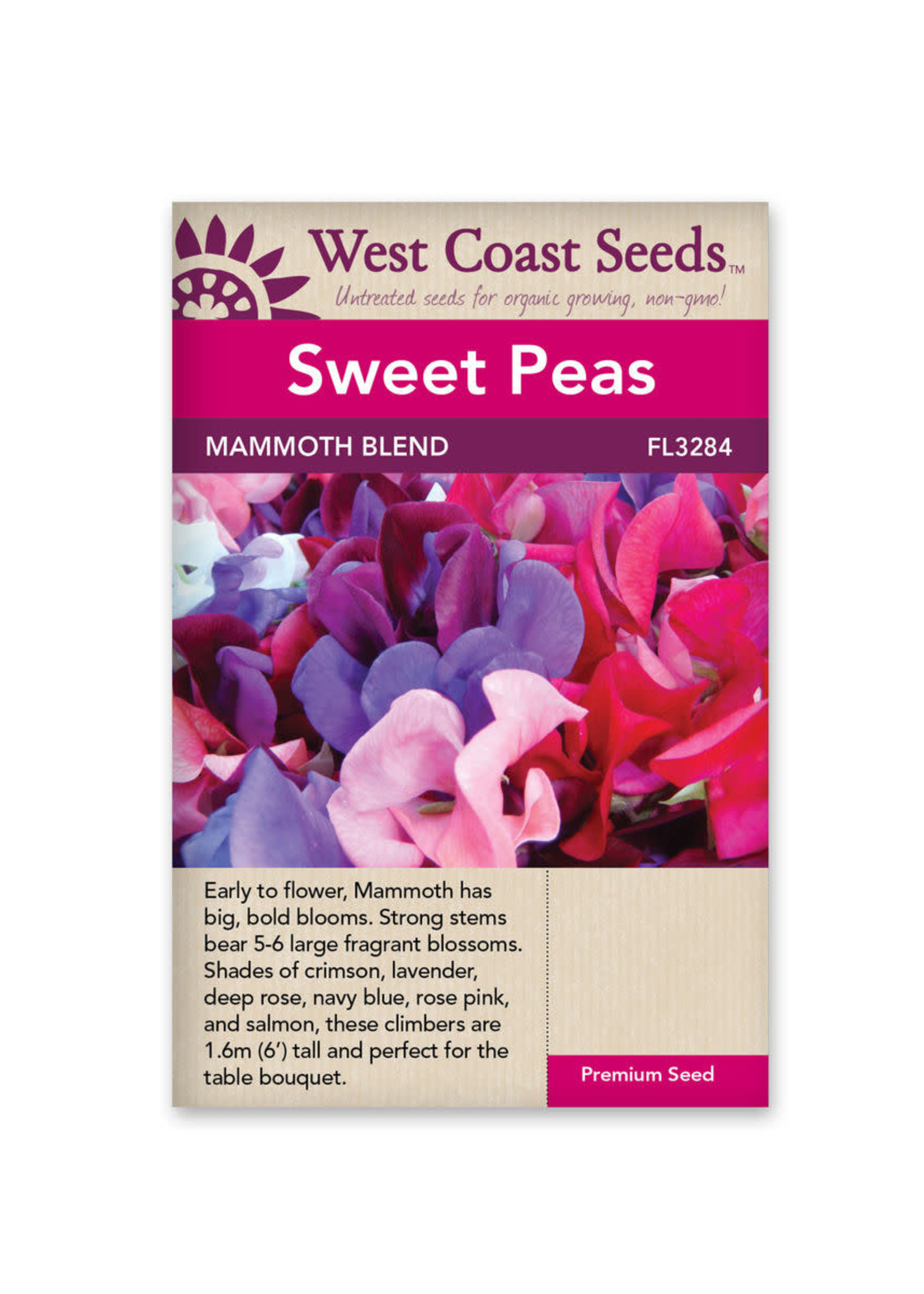 West Coast Seeds Mammoth Blend Sweet Pea