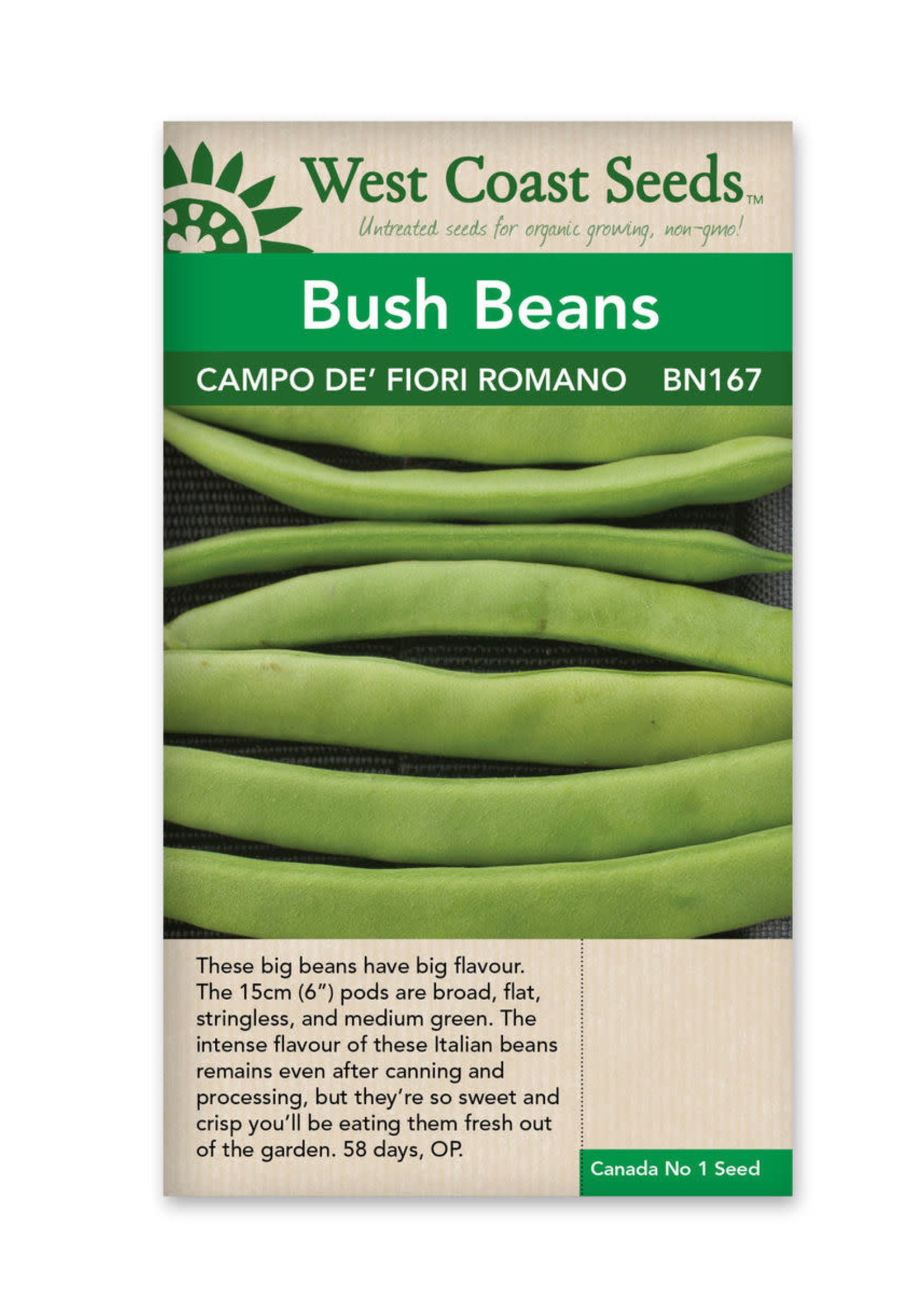 West Coast Seeds Campo de Fiori Romano Bean
