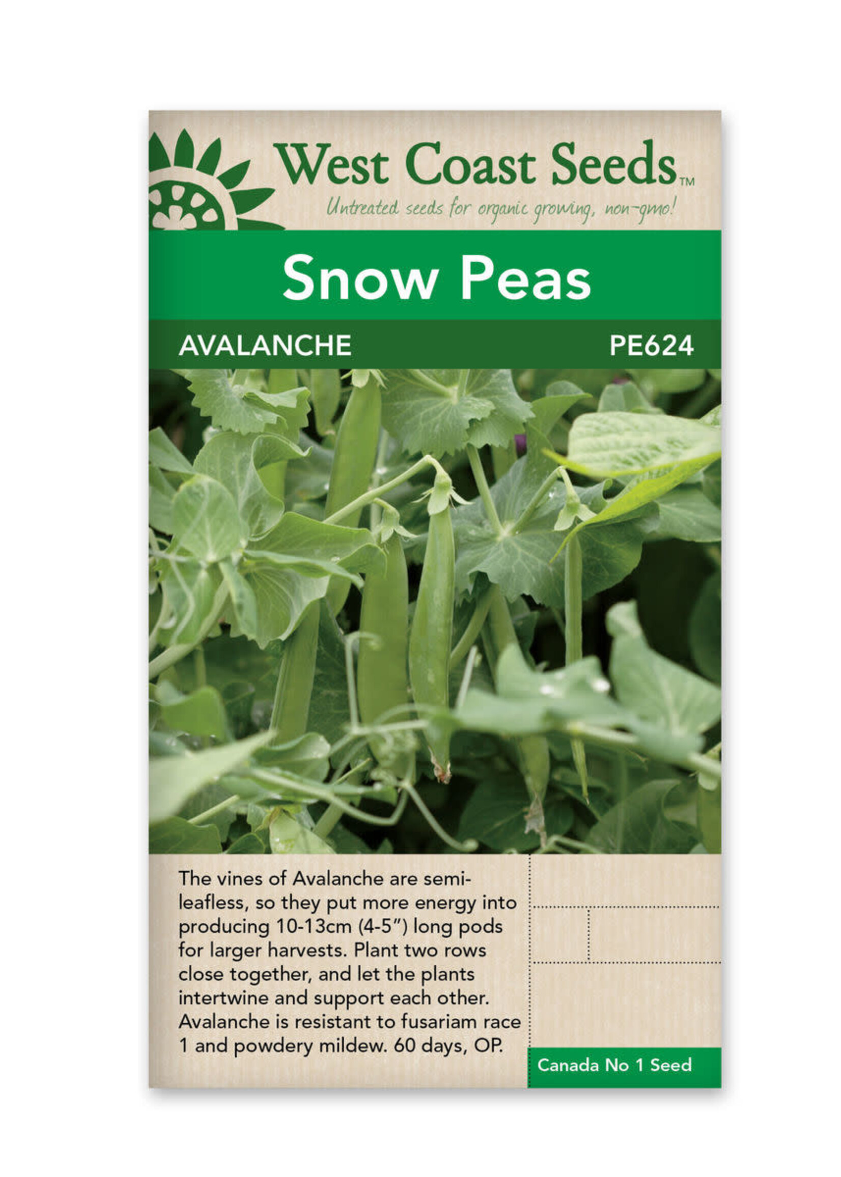 West Coast Seeds Avalanche Pea