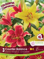 Florissa Colourful Companions Counter Balance Lilies 3/pkg