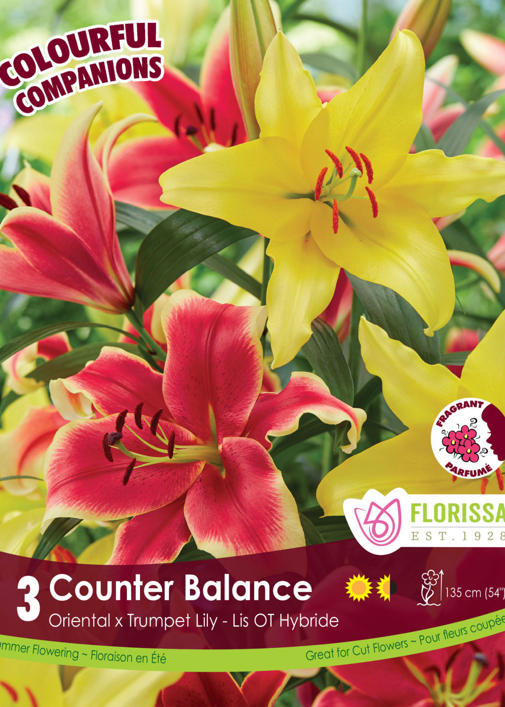 Florissa Colourful Companions Counter Balance Lilies 3/pkg