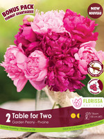 Florissa Colourful Companions Table for Two Peonies 2/pkg
