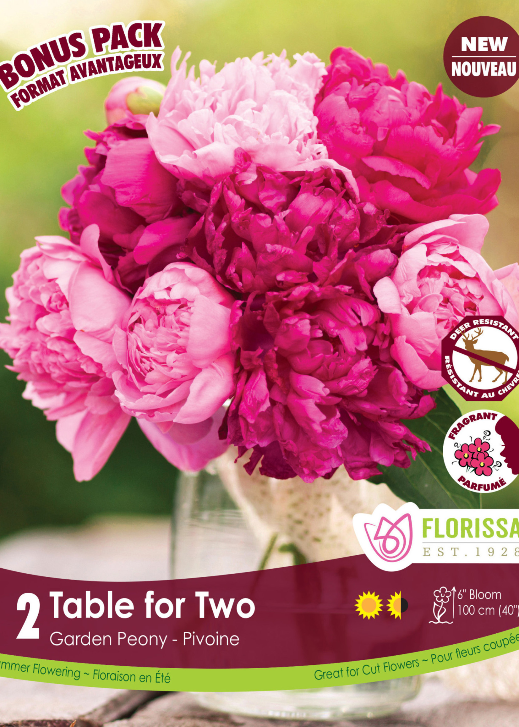 Florissa Colourful Companions Table for Two Peonies 2/pkg